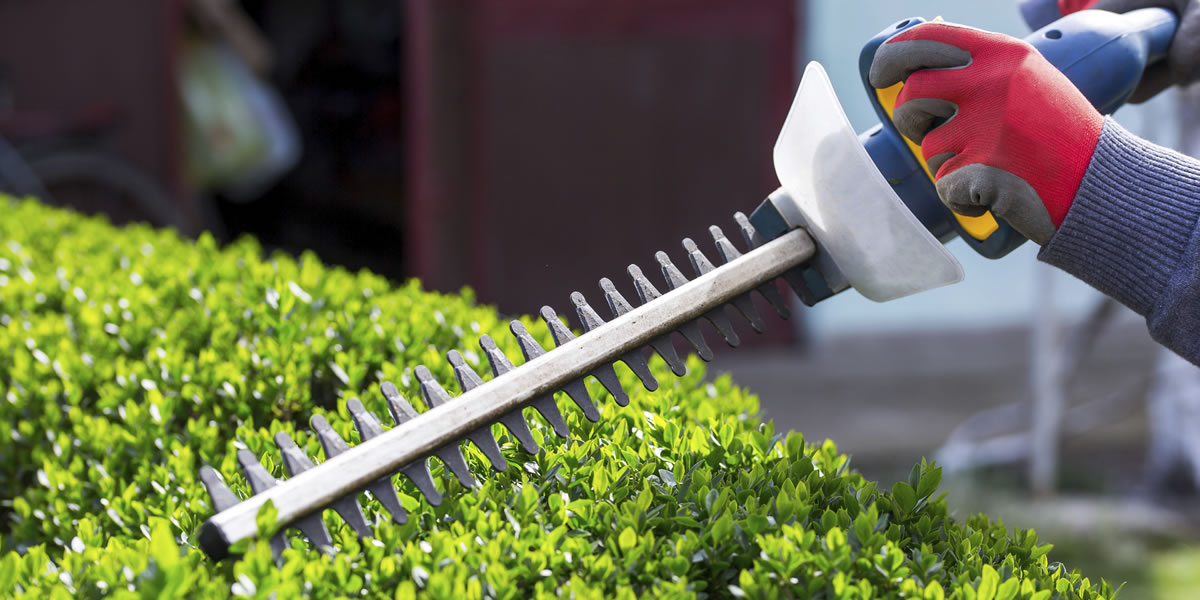 Professional Services